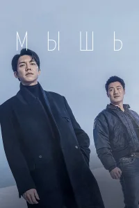  Мышь  - главный постер